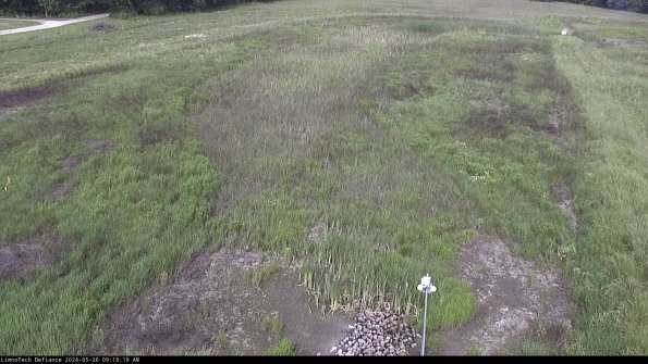 Cell 1_24-05-26_09-18-20-35