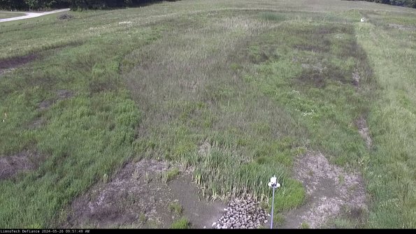 Cell 1_24-05-26_09-51-50-34