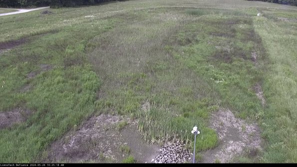 Cell 1_24-05-26_10-25-19-36