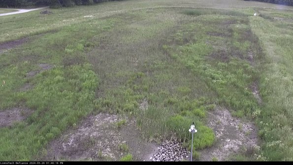 Cell 1_24-05-26_13-46-17-34