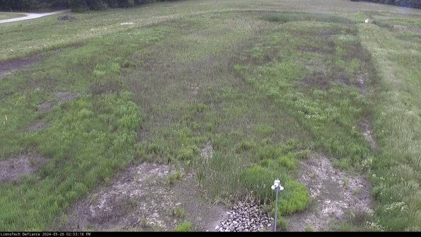 Cell 1_24-05-26_14-53-17-32