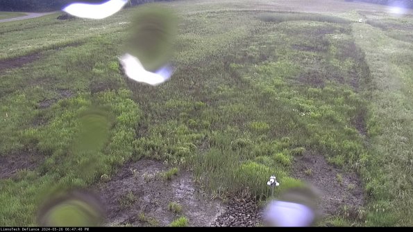 Cell 1_24-05-26_18-47-41-31