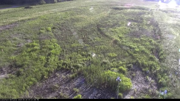 Cell 1_24-05-26_19-21-09-33