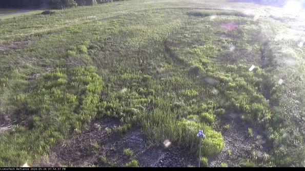 Cell 1_24-05-26_19-54-38-32