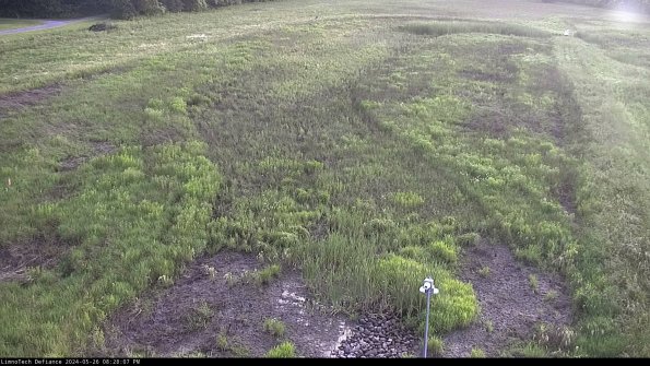 Cell 1_24-05-26_20-28-08-34