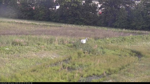 Cell 2 to 3_24-05-26_07-05-02-44