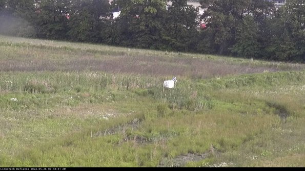 Cell 2 to 3_24-05-26_07-38-31-56