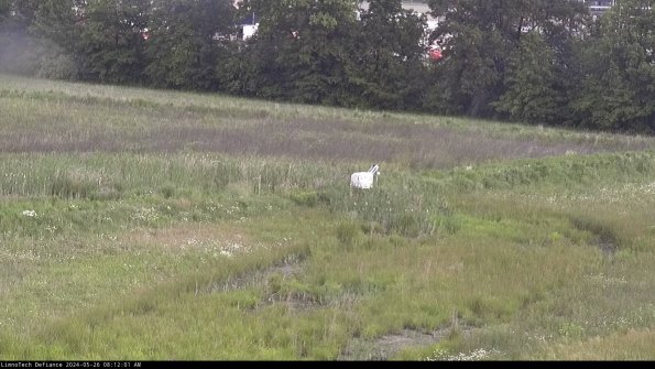 Cell 2 to 3_24-05-26_08-12-01-45