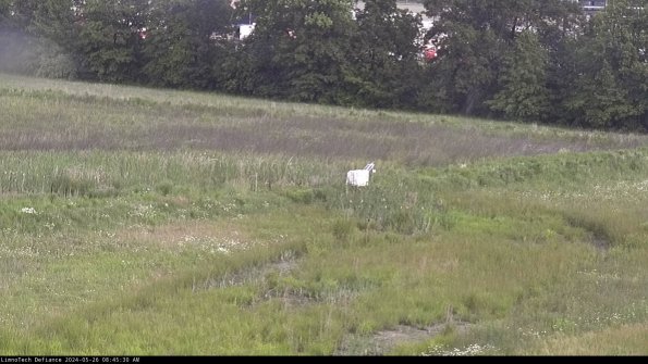 Cell 2 to 3_24-05-26_08-45-30-50