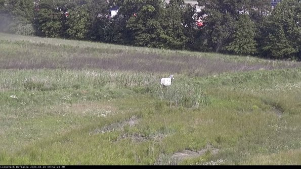 Cell 2 to 3_24-05-26_09-52-30-38