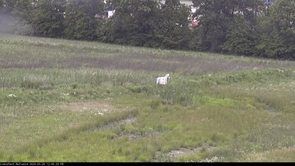 Cell 2 to 3_24-05-26_12-06-29-49