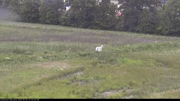 Cell 2 to 3_24-05-26_12-39-58-48