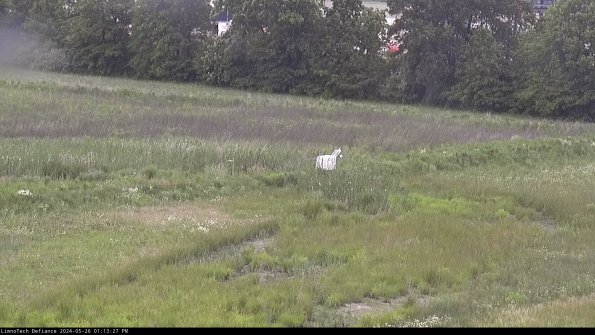 Cell 2 to 3_24-05-26_13-13-28-40