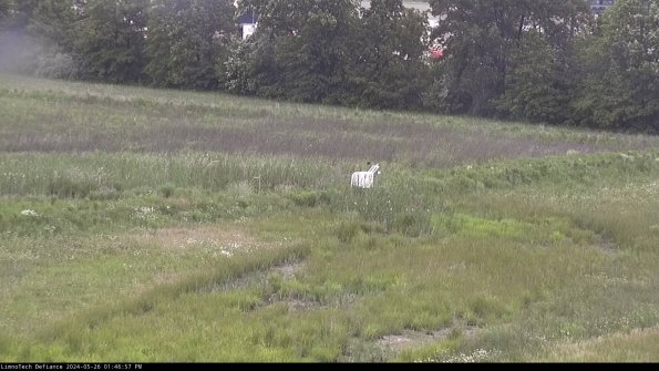 Cell 2 to 3_24-05-26_13-46-57-52