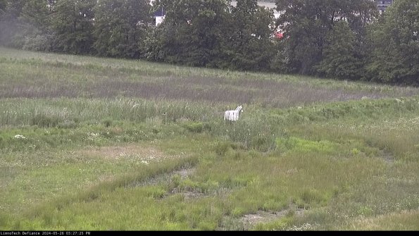 Cell 2 to 3_24-05-26_15-27-25-48