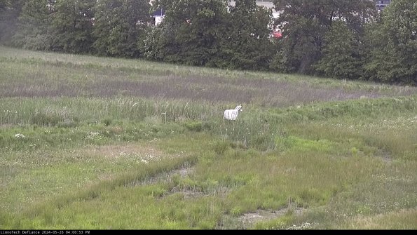 Cell 2 to 3_24-05-26_16-00-54-43