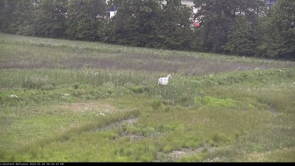 Cell 2 to 3_24-05-26_16-34-23-45