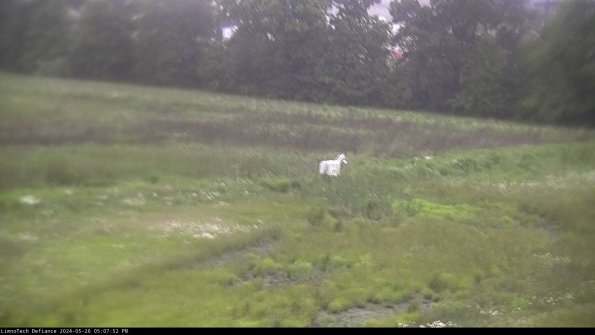 Cell 2 to 3_24-05-26_17-07-53-44