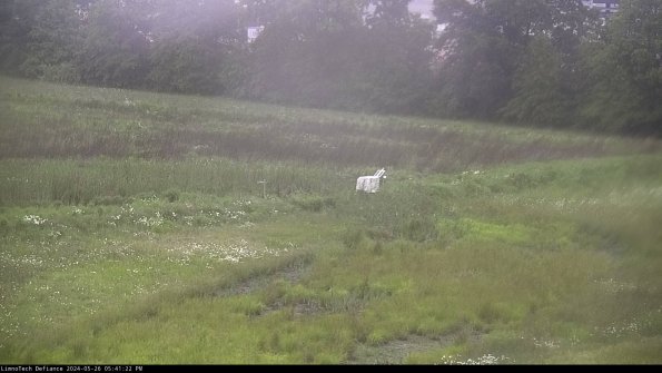 Cell 2 to 3_24-05-26_17-41-22-45