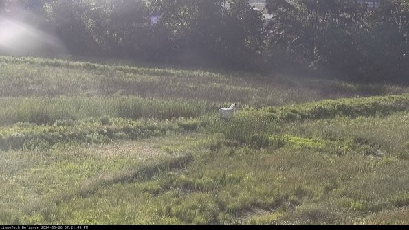 Cell 2 to 3_24-05-26_19-21-49-54