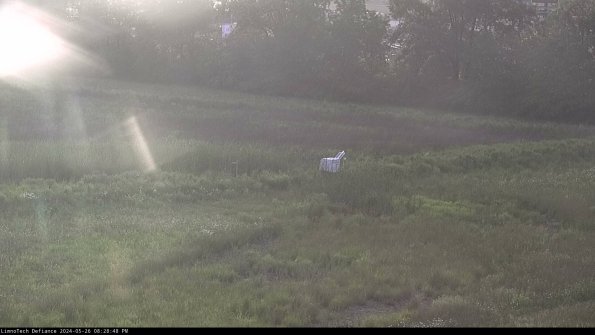 Cell 2 to 3_24-05-26_20-28-48-48