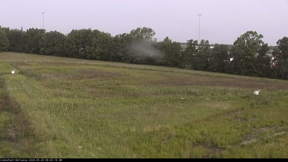 Cell 2_24-05-26_08-45-17-39