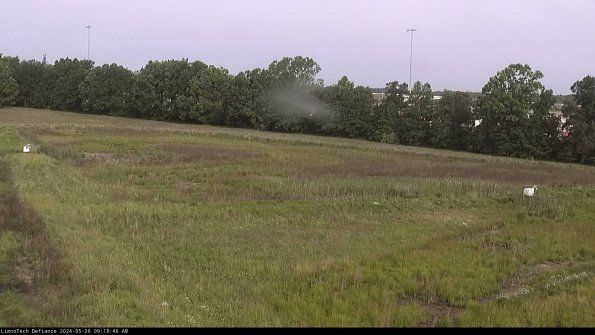 Cell 2_24-05-26_09-18-47-38