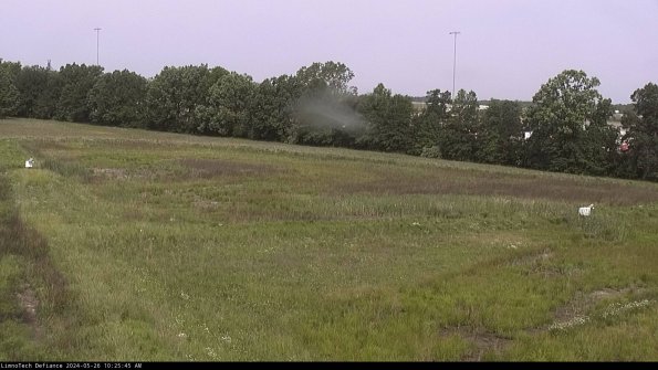 Cell 2_24-05-26_10-25-46-42