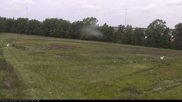 Cell 2_24-05-26_12-06-16-34