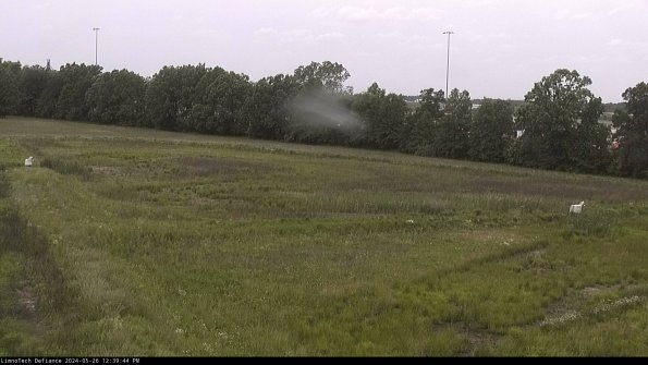 Cell 2_24-05-26_12-39-45-36