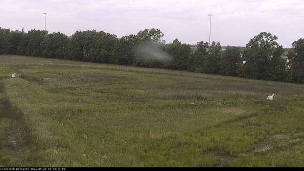 Cell 2_24-05-26_13-13-15-35