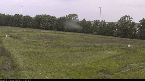 Cell 2_24-05-26_14-53-44-34