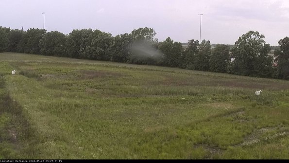 Cell 2_24-05-26_15-27-12-40