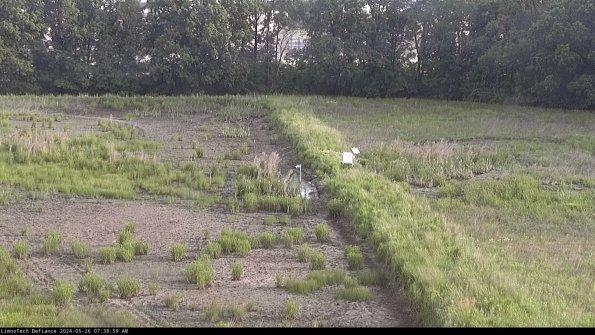 Cell 3 to 4_24-05-26_07-39-00-36