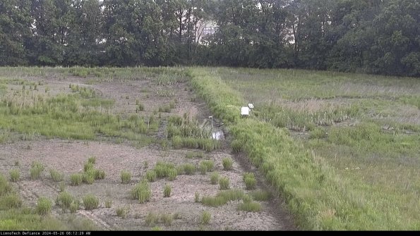 Cell 3 to 4_24-05-26_08-12-30-35