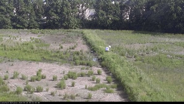 Cell 3 to 4_24-05-26_09-52-59-34