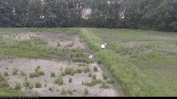 Cell 3 to 4_24-05-26_14-20-56-33