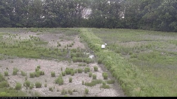 Cell 3 to 4_24-05-26_15-27-54-34