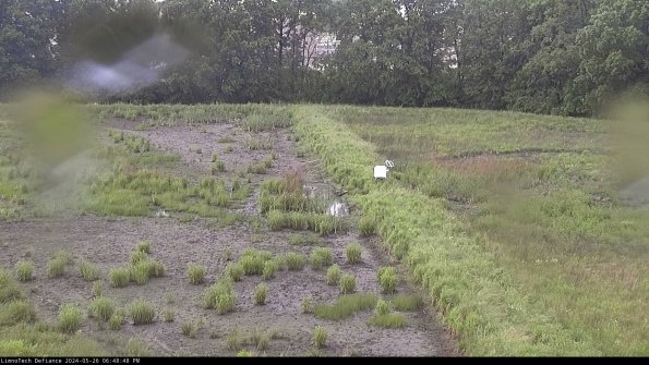 Cell 3 to 4_24-05-26_18-48-49-35