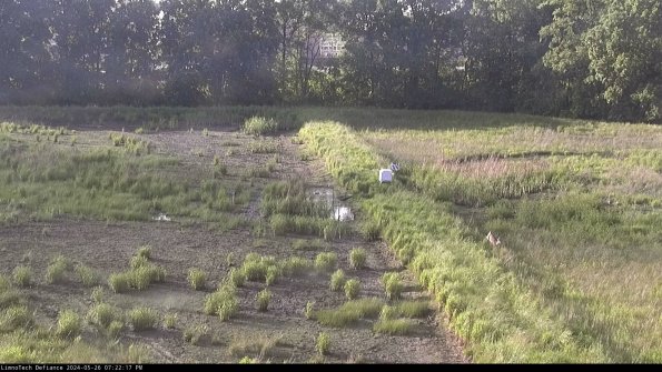 Cell 3 to 4_24-05-26_19-22-18-34