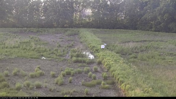 Cell 3 to 4_24-05-26_20-29-17-35