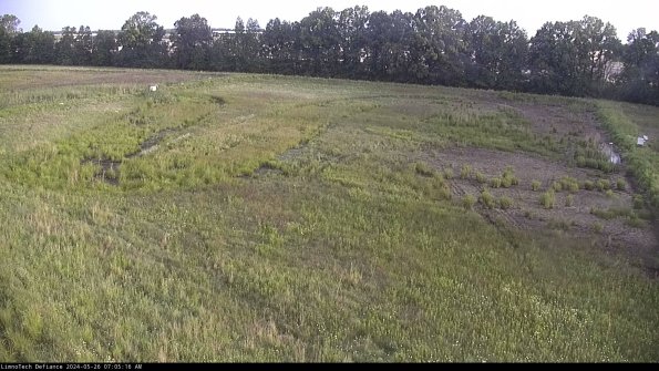 Cell 3_24-05-26_07-05-17-33