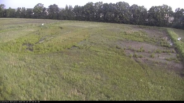 Cell 3_24-05-26_07-38-46-34