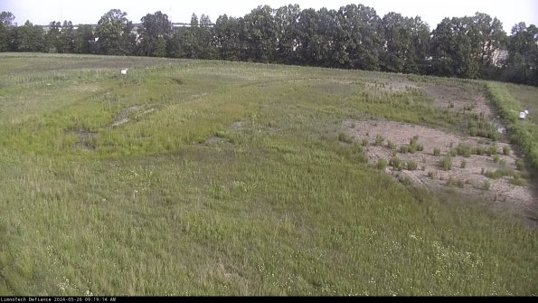 Cell 3_24-05-26_09-19-15-34