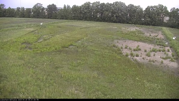 Cell 3_24-05-26_16-01-09-34