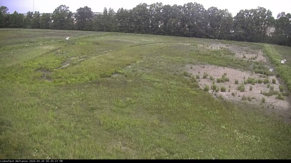 Cell 3_24-05-26_16-34-38-33