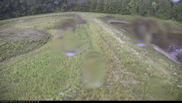 Cell 4 to Basin_24-05-26_18-49-33-33