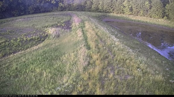 Cell 4 to Basin_24-05-26_20-30-01-36