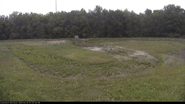 Cell 4_24-05-26_13-47-40-33