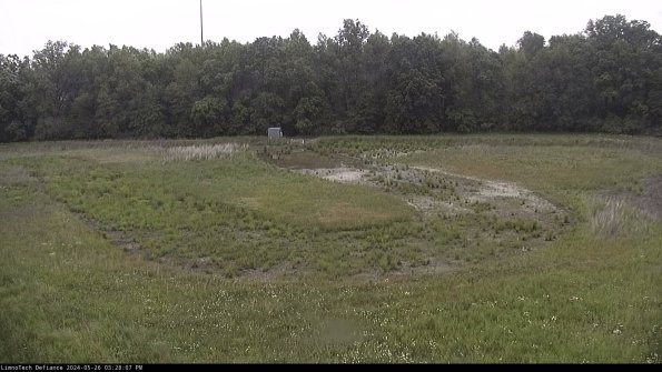 Cell 4_24-05-26_15-28-08-35